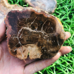 <strong>Wholesale</strong> Bulk Natural Colorful Petrified Specimen Wood fossil <strong>Raw</strong> Stone Slab Healing <strong>Crystal</strong> for Decoration - Product Image 4