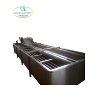 Hoge herhalingsaankooppercentage DCJ-I riemtype ijswaterkoeler voor groenten en fruit Walley merk 220V voedselverwerkingsmachine