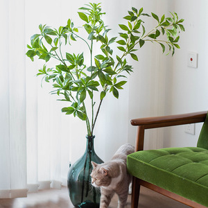 O-X978 Grande taille Feuillage artificiel en latex à toucher réaliste, Andromède japonaise (<span class=keywords><strong>Pieris</strong></span> <span class=keywords><strong>japonica</strong></span>), pour décoration intérieure - Product Image 5