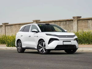 Auto BYD Usate, il Re dell'Efficienza Energetica con Configurazioni Sorprendenti - Product Image 3