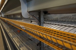 Equipo para Avicultura, Jaula para Gallinas Ponedoras, Diseño de Alta Densidad que Ahorra Espacio, Sistema Automático de Eliminación de Estiércol para Granjas Avícolas - Product Image 6