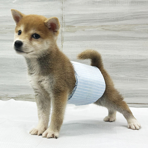 Pañal <span class=keywords><strong>para</strong></span> mascotas <span class=keywords><strong>para</strong></span> <span class=keywords><strong>perros</strong></span> Desechable Fuerte Absorción Suave y transpirable <span class=keywords><strong>Pampers</strong></span> <span class=keywords><strong>para</strong></span> <span class=keywords><strong>perros</strong></span> femeninos y masculinos - Product Image 1