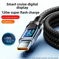 Câble de données tressé Type-C à affichage numérique transparent 100W, charge ultra-rapide, conducteur en cuivre pur 12 mois pour téléphones mobiles