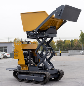 Cần bán xe tải mini 500 kg với khả năng nâng tích hợp. - Product Image 1