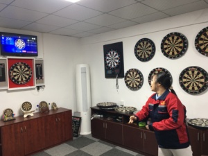 401 Tròn Phi Tiêu Chuyên Nghiệp đặt Nam Phi sisal tùy chỉnh lông tròn dây với <span class=keywords><strong>Dartboard</strong></span> - Product Image 6