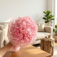 Bunga Hydrangea Kering Diameter 20+cm Berkualitas Tinggi Harga Grosir untuk Dekorasi