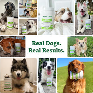 Probiotik Anjing <span class=keywords><strong>Pet</strong></span> Yuan untuk Diare & Kesehatan Kekebalan Usus Probiotik Anjing Suplemen Anjing Suplemen Nutrisi Hewan Peliharaan - Product Image 4