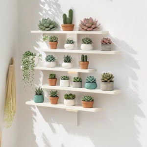 Wall Mounted <b>Plant</b> Shelf 5 Tier Black Rectangle Durable Storage Rack For Succulents And Ornaments - Product Image 3