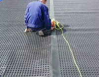 Planche de drainage pour toiture verte en HDPE, système d'étanchéité et de drainage pour jardins scolaires et drainage routier haute densité