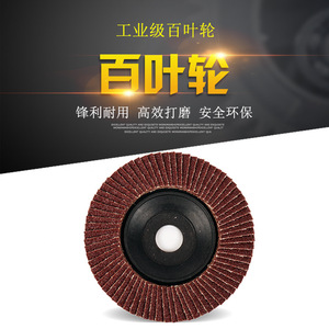 Disco de pulido de 100 mm, rueda de lijado plana, diámetro interior de 22,2 mm para carpintería - Product Image 3