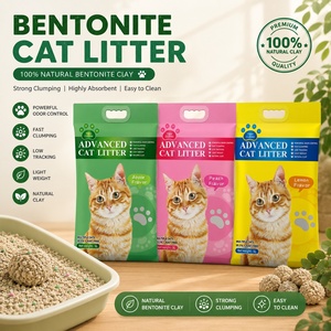 Litière pour chat en bentonite de sodium naturelle, faible teneur en poussière, agglomération rapide, forte désodorisation, sable pour chat, antibactérien - Product Image 1