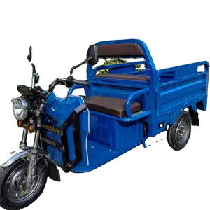 China Electric Adult Tricycle electric three wheeler cargo 1000W electric trike scooter