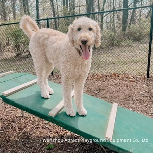 Equipo de Entrenamiento Personalizado <span class=keywords><strong>para</strong></span> Parques Caninos, Guardería <span class=keywords><strong>para</strong></span> Mascotas, <span class=keywords><strong>Parque</strong></span> Infantil al Aire Libre, <span class=keywords><strong>Parque</strong></span> de Agilidad <span class=keywords><strong>para</strong></span> <span class=keywords><strong>Perros</strong></span> en el Patio Trasero - Product Image 5