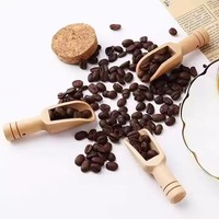 Cuchara de Madera Pequeña Moderna y Ecológica con Logotipo Personalizado, con Capacidad de 10 ml, Acabado Espejo, para Servir Café, Té y para la Cocina