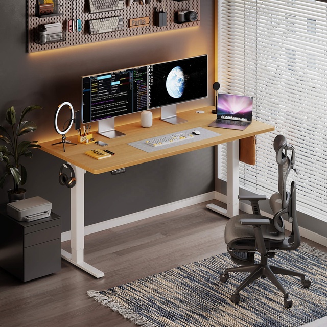 OEM1200*600mmSinge Motor Electric Height-adjustable Desk with Drawers Smart Computer Desk E-sports Desk Home Study Desk Office