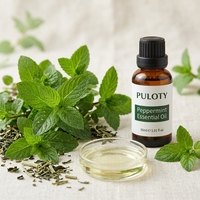 Huile de menthe poivrée pure 30 ml, distillée à la vapeur, huile de menthe OEM ODM, approvisionnement en vrac pour l'aromathérapie, les cosmétiques, les soins bucco-dentaires, le nettoyage, matière première