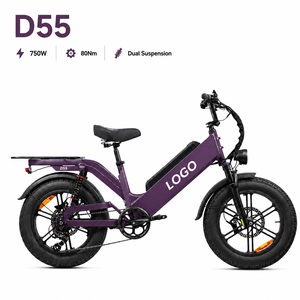จักรยานบรรทุกไฟฟ้า D55 48V55Ah ความเร็วสูง 750W ยางอ้วน 20 นิ้ว 80 นิวตันเมตร OEM จักรยานส่งของทุกสภาพพื้นผิว พร้อมไฟเลี้ยว - Product Image 1