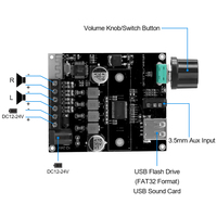 VIRE TPA3118 çift kanallı Stereo dijital ses güç amplifikatörü kurulu Hifi Bluetooth 5.3 Subwoofer amplifikatör devre