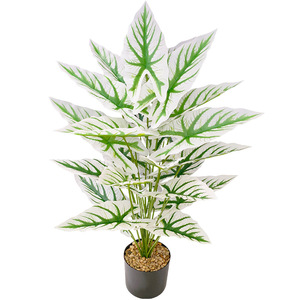 Nouveau Design Grande Taille 24 Feuilles Real Touch Feuille d'<span class=keywords><strong>Arum</strong></span> Artificielle Plante Verte Artificielle pour la Décoration de Bureau à Domicile - Product Image 4