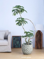 Pot Bunga Retro Mewah untuk Ruang Tamu, Model Daun Palem Merah, Tanaman Pisang, Tinggi, Berdiri di Lantai, Gaya Mid-century Wabi-sabi