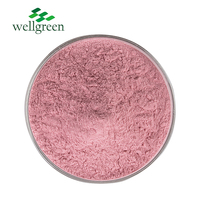 Wellgreen Usda Gecertificeerd 100% Natuurlijk Granaatappelfruitpoeder