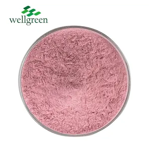 Wellgreen USDA bersertifikat 100% bubuk buah delima alami