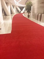 Sol en polyester de haute qualité personnalisé rouleau tufté polaire carrelage hôtel tissé mur à mur couloir tapis pour Hall