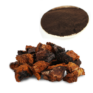 Siberiana salvaje Chaga Extracto de 30%-50% polisacáridos - Product Image 1