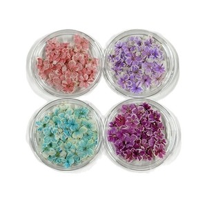 Flores Secas Naturales Mini, Empacadas al Vacío, Prensadas, para Arte <span class=keywords><strong>de</strong></span> Uñas, Precio <span class=keywords><strong>de</strong></span> Fábrica, Venta al Por Mayor - Product Image 5