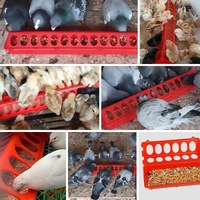 Vente directe d'usine, mangeoire à pigeons en plastique de plusieurs tailles, mangeoire pour poussins