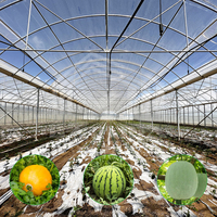 Serre Agricole 24x40m Grande Serre Agricole Multi-chapelles pour Légumes