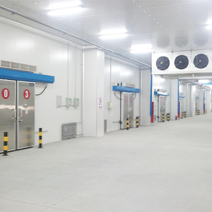 50 Mét Dày Cách Nhiệt Chất Lượng Puf Bọt <span class=keywords><strong>Sandwich</strong></span> Tường Bảng Điều Chỉnh Sheets - Product Image 4