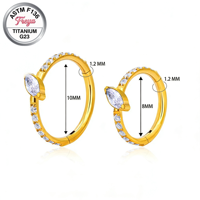 Anneaux de piercing en titane de qualité implantable ASTM-F136 pour le nez, l'oreille et le septum, avec zircon, type fer à cheval, clicker et segment
