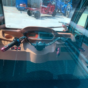 Tricycle motorisé à trois roues robuste et économique de Chine 2024 pour le transport de marchandises avec cabine, capacité de charge de 650 kg - Product Image 6