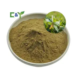 Manufacturer Selling best fadogia agrestis supplier fadogia agrestis extract 10 1fadogia agrestis tongkat ali capsule extract