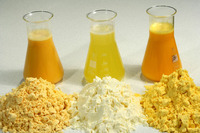 Poudre d'œuf entier, poudre de jaune d'œuf / poudre de blanc d'œuf au meilleur prix