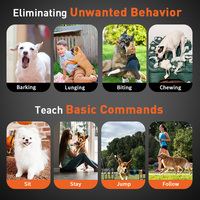 Dog Training Shock Collar 3300FT Einstellbarer Pitch Beep Vibration Shock und Keypad Lock