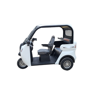 Triciclo Eléctrico Abierto de Moda EV-06 1000W, Modelo de Conducción Cómodo, Preferido por Clientes Extranjeros - Product Image 4