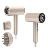 Sèche-cheveux ionique professionnel 2000W moteur à courant continu électrique haute vitesse Portable avec buse de diffuseur pour usage domestique et hôtelier