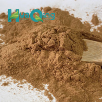 Poudre d'extrait d'arnica Montana de haute qualité 10:1 extrait de fleur solvant extrait vente en gros dans un emballage de tambour en plastique testé aux UV