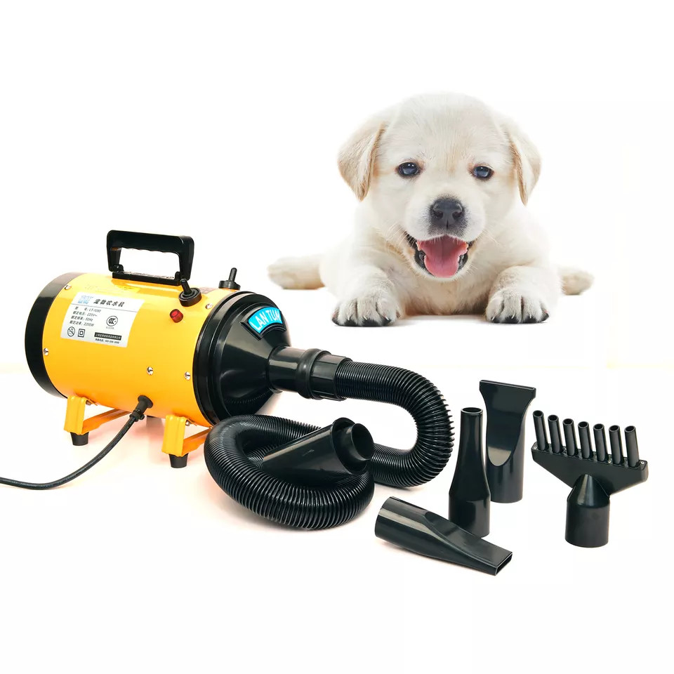 puppy blow dryer