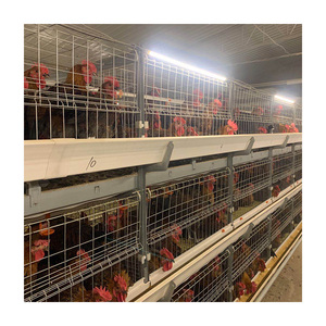 Jaula de animales de acero tipo H TBB para granja de pollos de capa, gallinero de gallinas con batería automática utilizado como gallinero para <span class=keywords><strong>pollo</strong></span> - Product Image 2