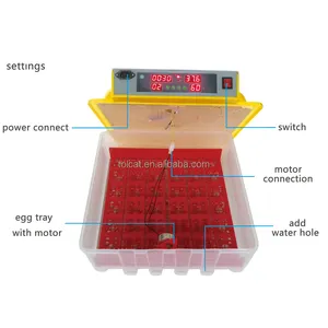 Tolcat incubadora de ovos para aves, energia solar, ovos de galinha na china, 36 ovos, kulu ka, pequenos, máquina de incubadora