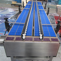Chaîne à rouleaux AS-FLEX 822-K325 pour ligne d'emballage, équipement de convoyage d'accumulation de boîtes en carton et de feuilles d'aluminium
