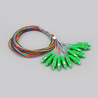 Customized Simplex OS2 Single Mode UPC 12 Core Fiber Optic Pigtail High Quality Simplex OS2 Single Mode Sc Upc 12 Fiber Optic