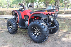 <span class=keywords><strong>Cuatrimoto</strong></span> Deportiva de Alta Calidad para Exteriores, 4 Ruedas, 250cc, 300cc, 350cc, 4 Tiempos, 1000W, Transmisión por Cadena, Manual, 4x4, para Adultos - Product Image 2