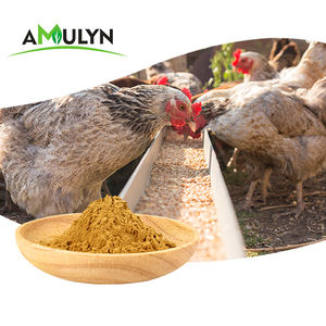 Extrait de graines de lin en poudre 20% - Product Image 6