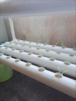 Conteneur de système hydroponique vertical hydroponique de qualité supérieure