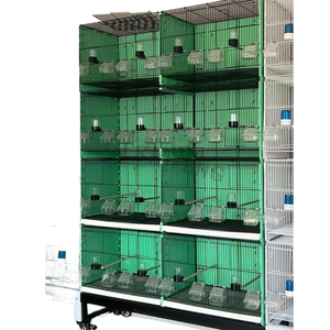 Set di Gabbie Impilabili per Allevamento di Uccelli, 8 Unità in Metallo con Divisorio, per Canarini e Agaporni, dal Miglior Produttore Cinese - Product Image 1