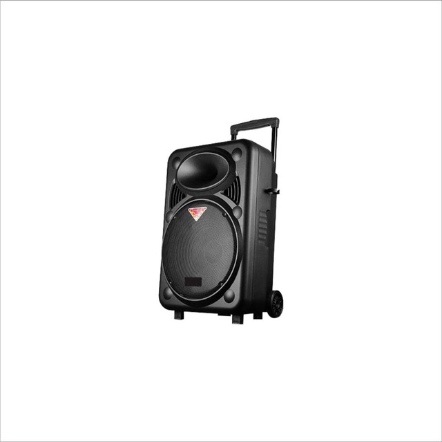 Cheap Big Size Wireless Karaoke Trolley Speaker Big Power Wireless Speakers Bass Sound Portable Bluetooth Speaker